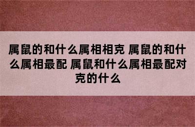 属鼠的和什么属相相克 属鼠的和什么属相最配 属鼠和什么属相最配对克的什么